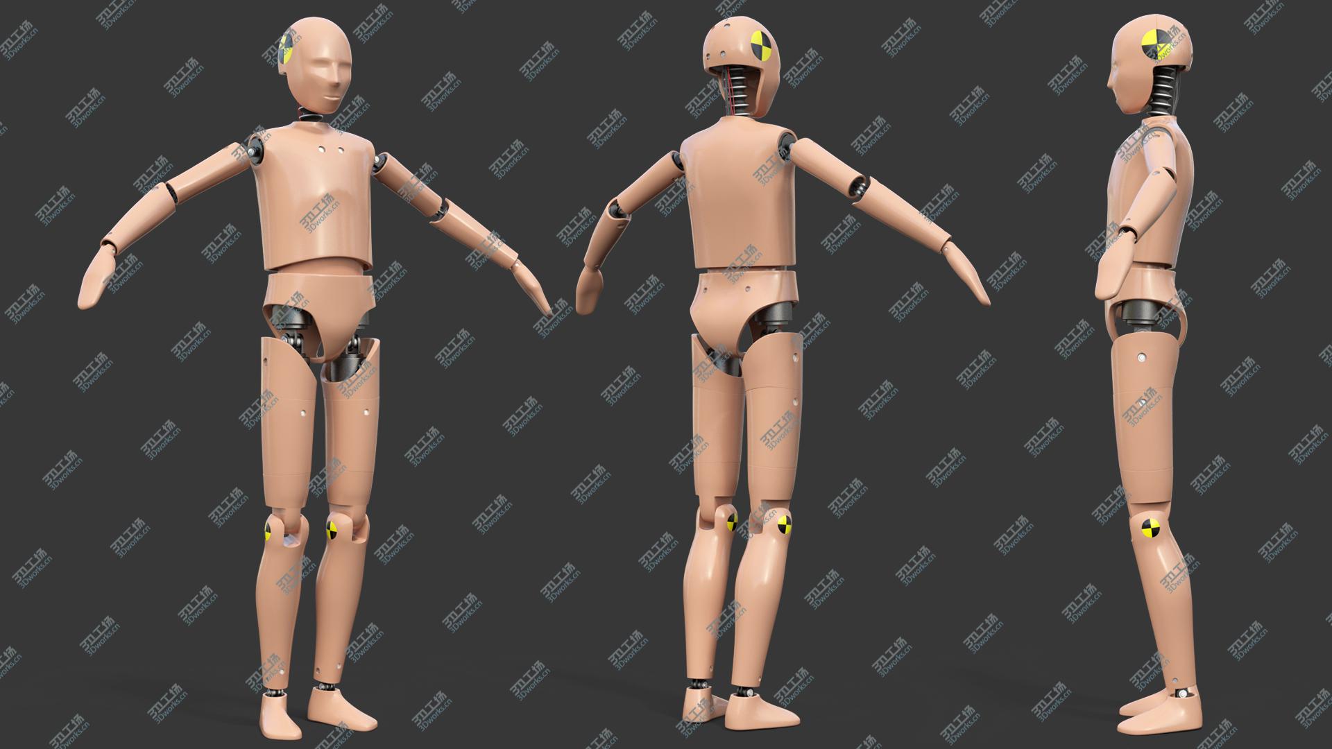 images/goods_img/202104093/Teenager Crash Test Dummy Rigged 3D/2.jpg